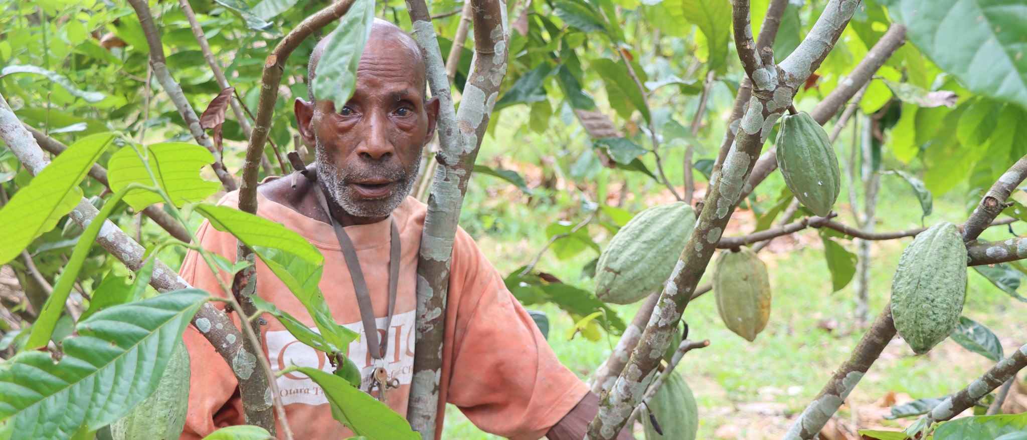 From Isolation to Opportunity: Revived Cocoa Business Marks a Turning Point for a Remote Papua New Guinea Village