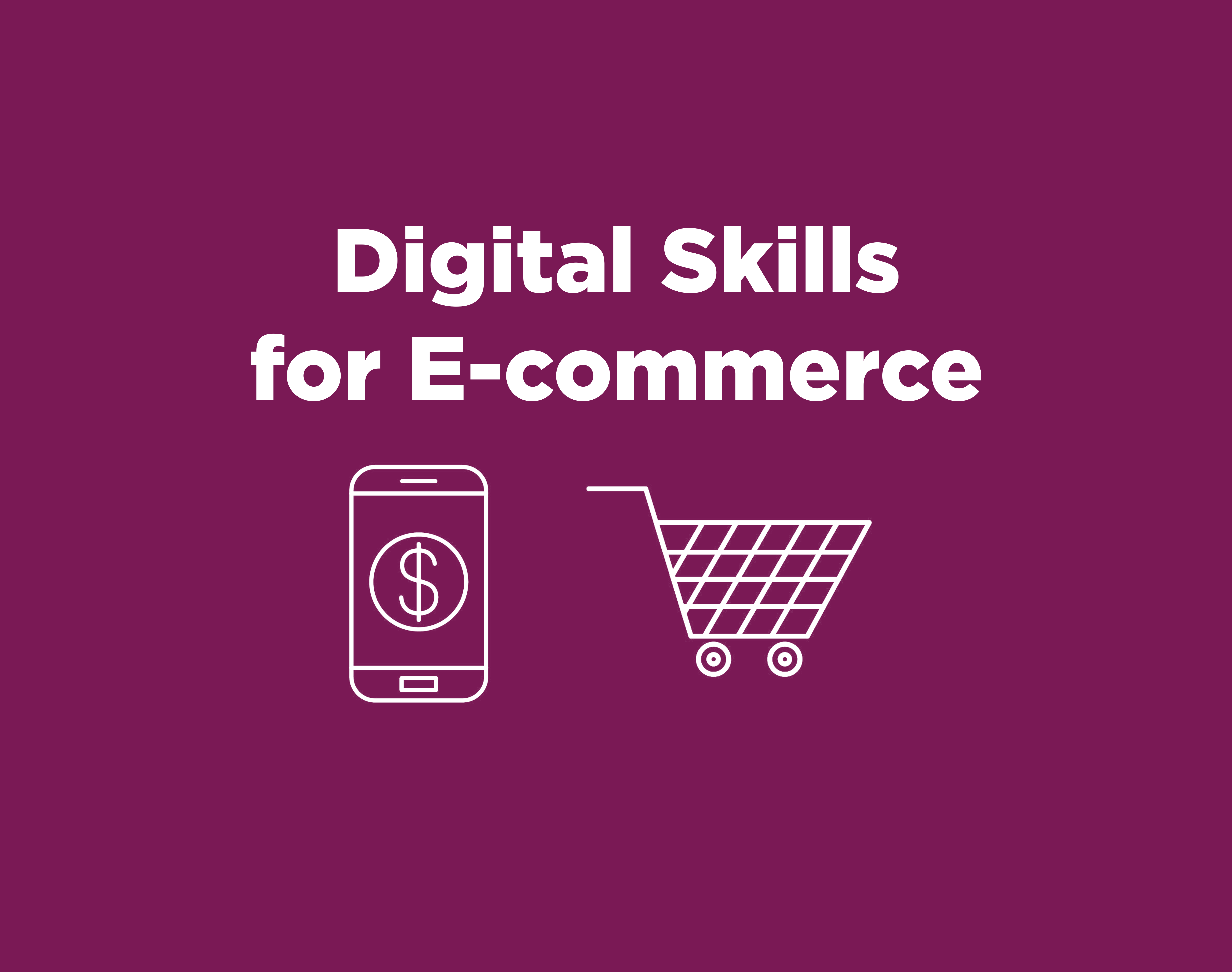 Digital Skills for E-commerce